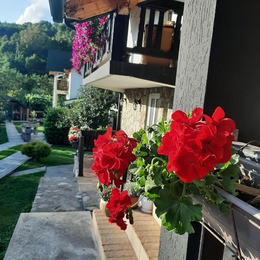 Rooms And Apartmants Mirovic Kolasin Exterior photo