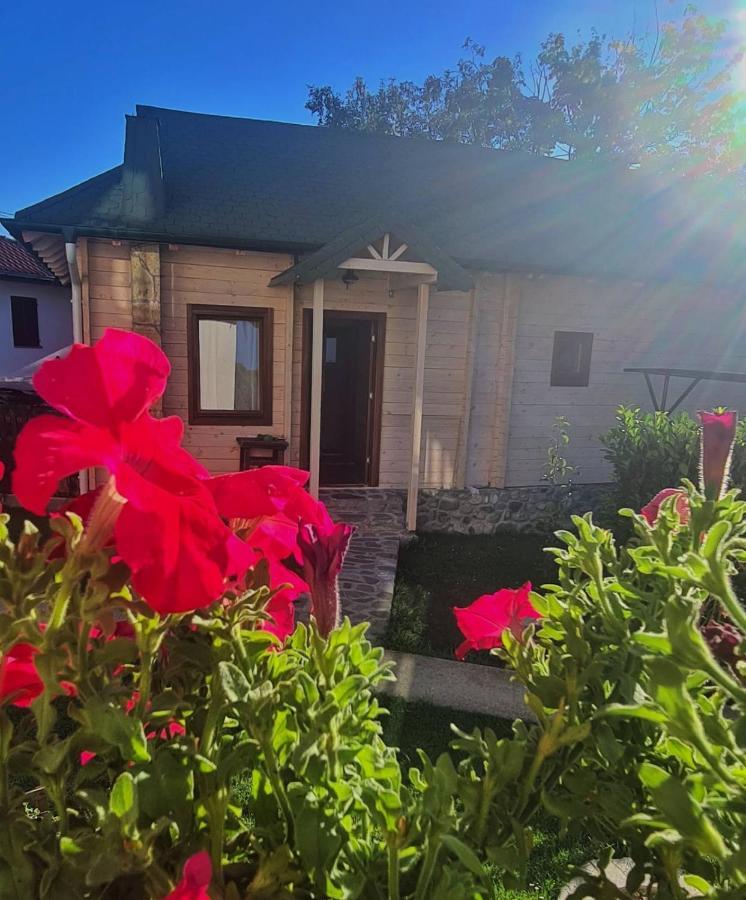 Rooms And Apartmants Mirovic Kolasin Exterior photo