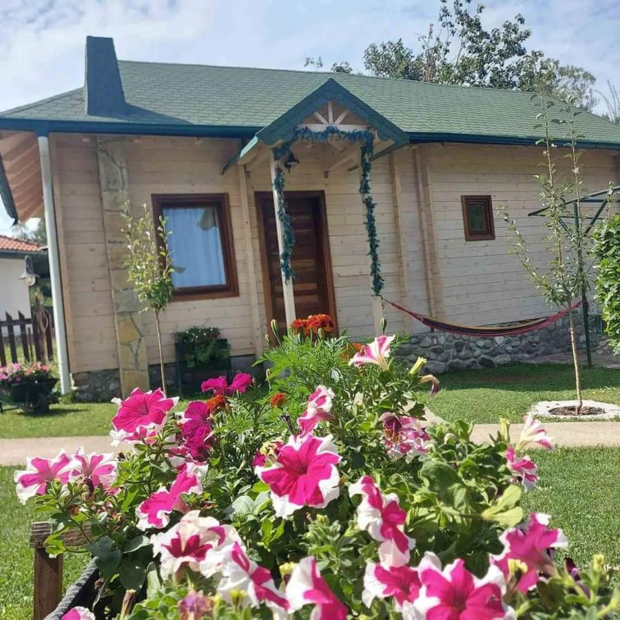 Rooms And Apartmants Mirovic Kolasin Exterior photo