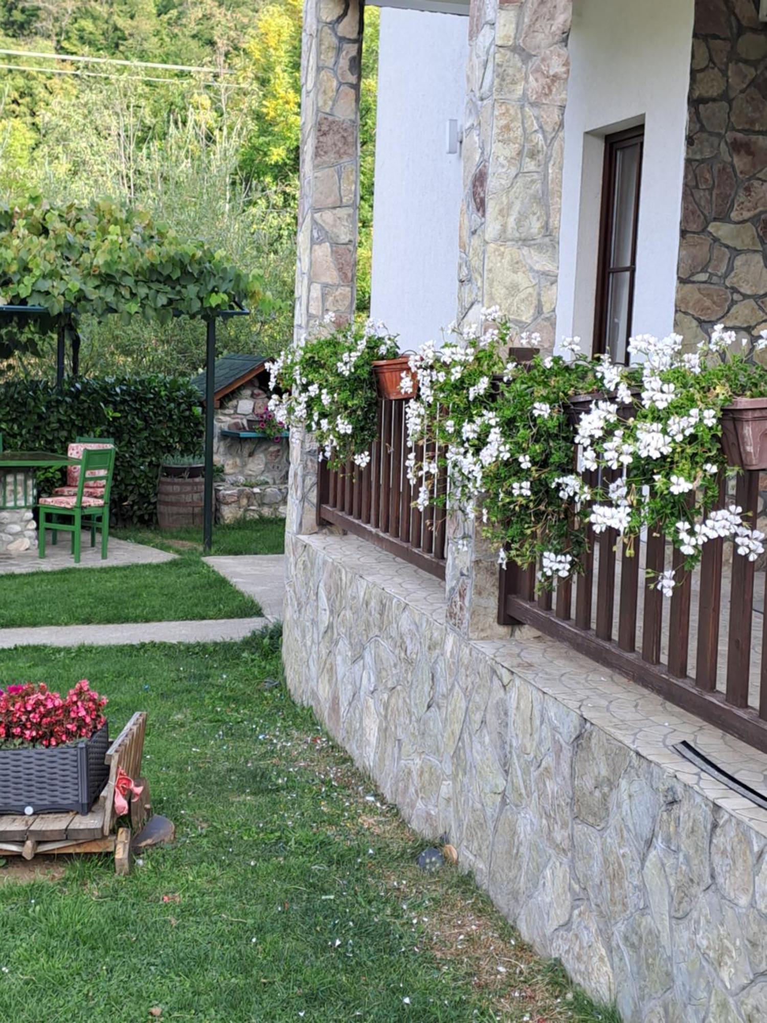 Rooms And Apartmants Mirovic Kolasin Exterior photo